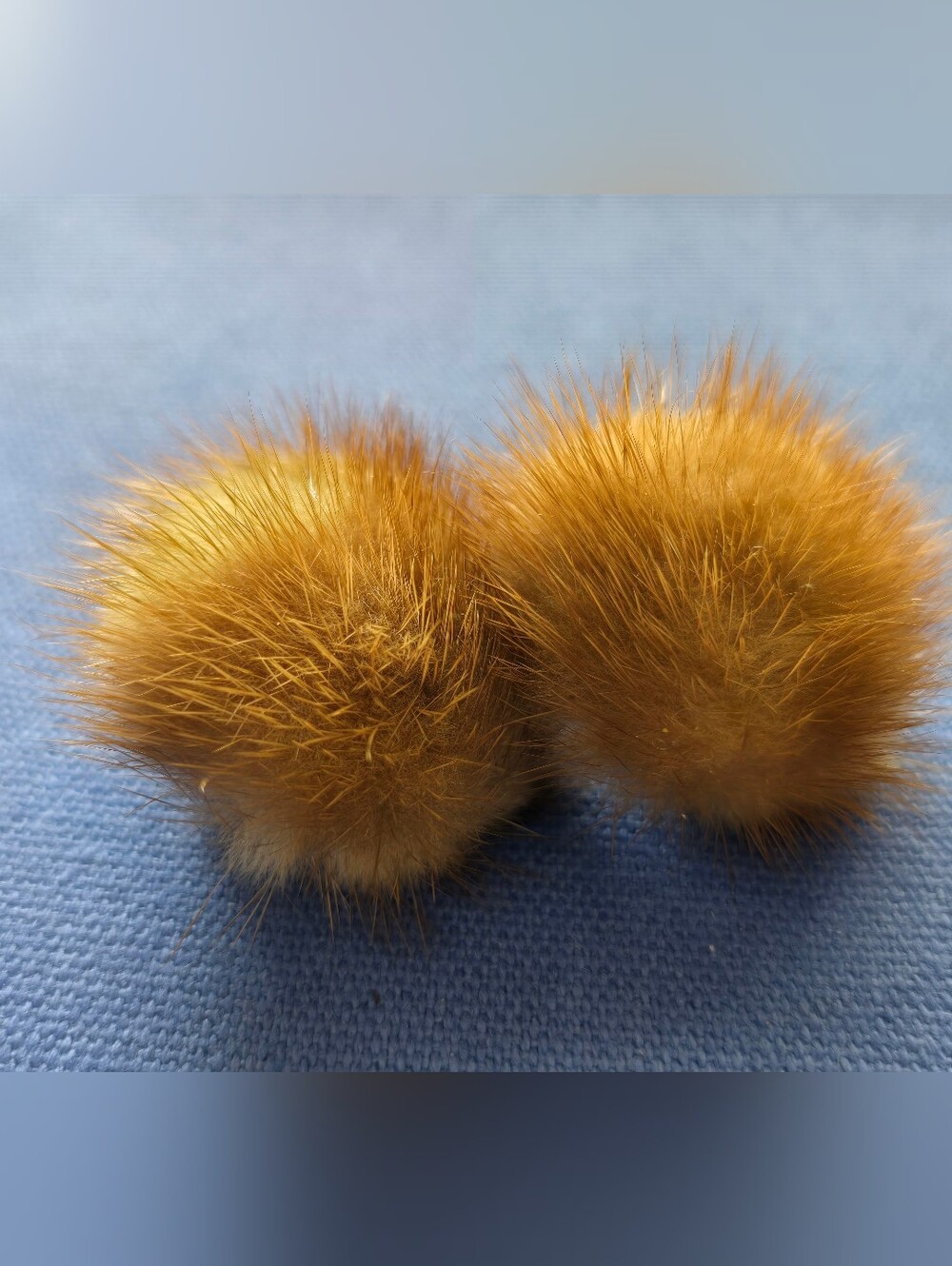 Tan colored mink clip earrings